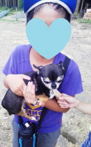 IMG_20160817_150614[1]